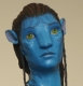 pljnr1's Avatar